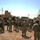 Mongoose Soldiers sustain fight