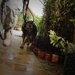 Karlo the K-9