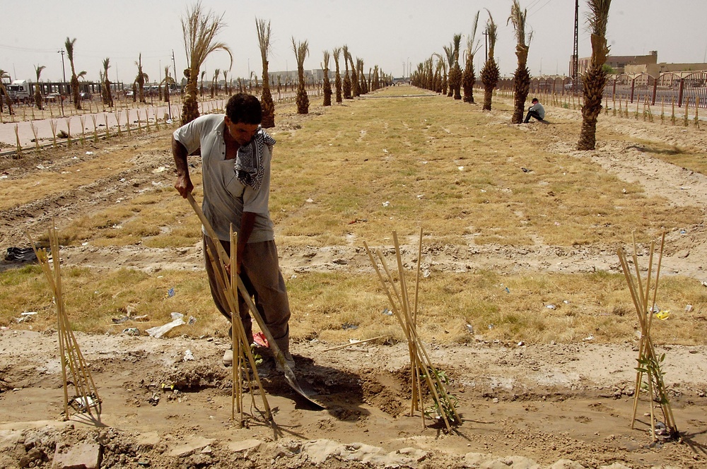 Local Iraqi Nursery Worker Helps Beautifies Basra