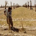 Local Iraqi Nursery Worker Helps Beautifies Basra