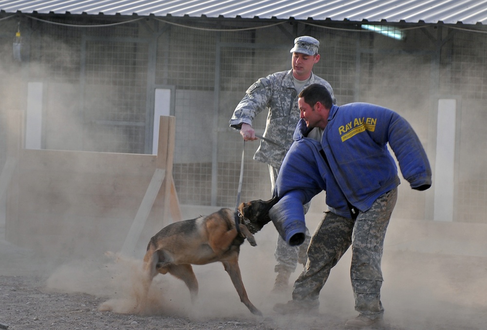 Selected servicemembers work with furry friends
