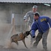 Selected servicemembers work with furry friends