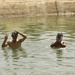Iraqi Boys Clean Up in Canal During Operation Dimaggio
