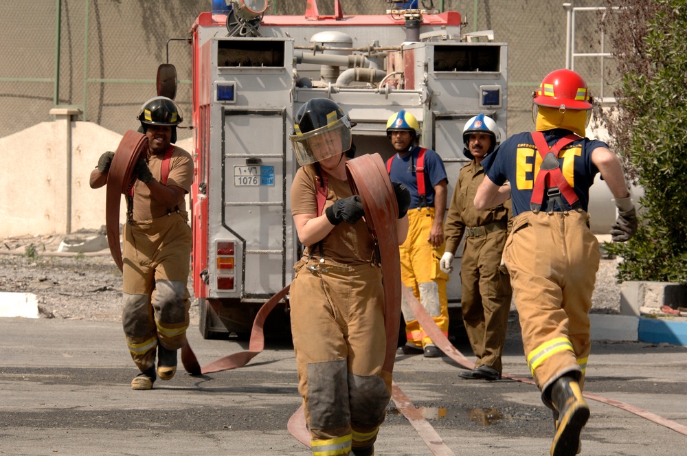 Exercise Desert Sailor 2008