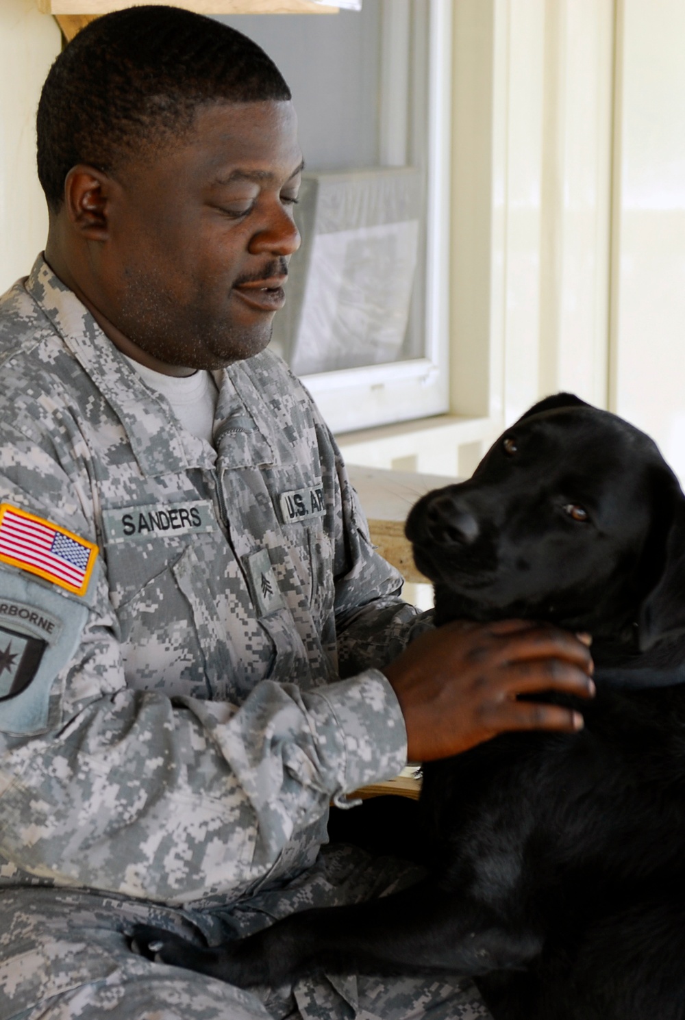 Budge: stress reliever, dog in disguise