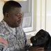 Budge: stress reliever, dog in disguise