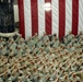 Fourth of July mass reenlistment ceremony