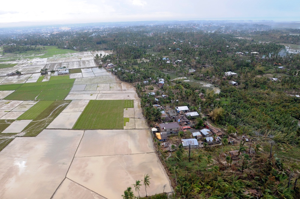 Disaster relief in the wake of Typhoon Fengshen