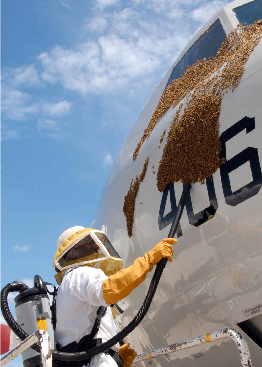 Cleaning bees from plane