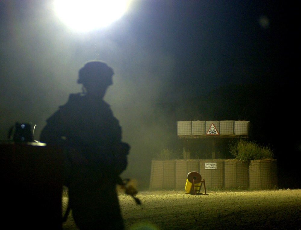 A Short Pause During Training