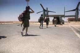 Hollywood arrives at Akashat