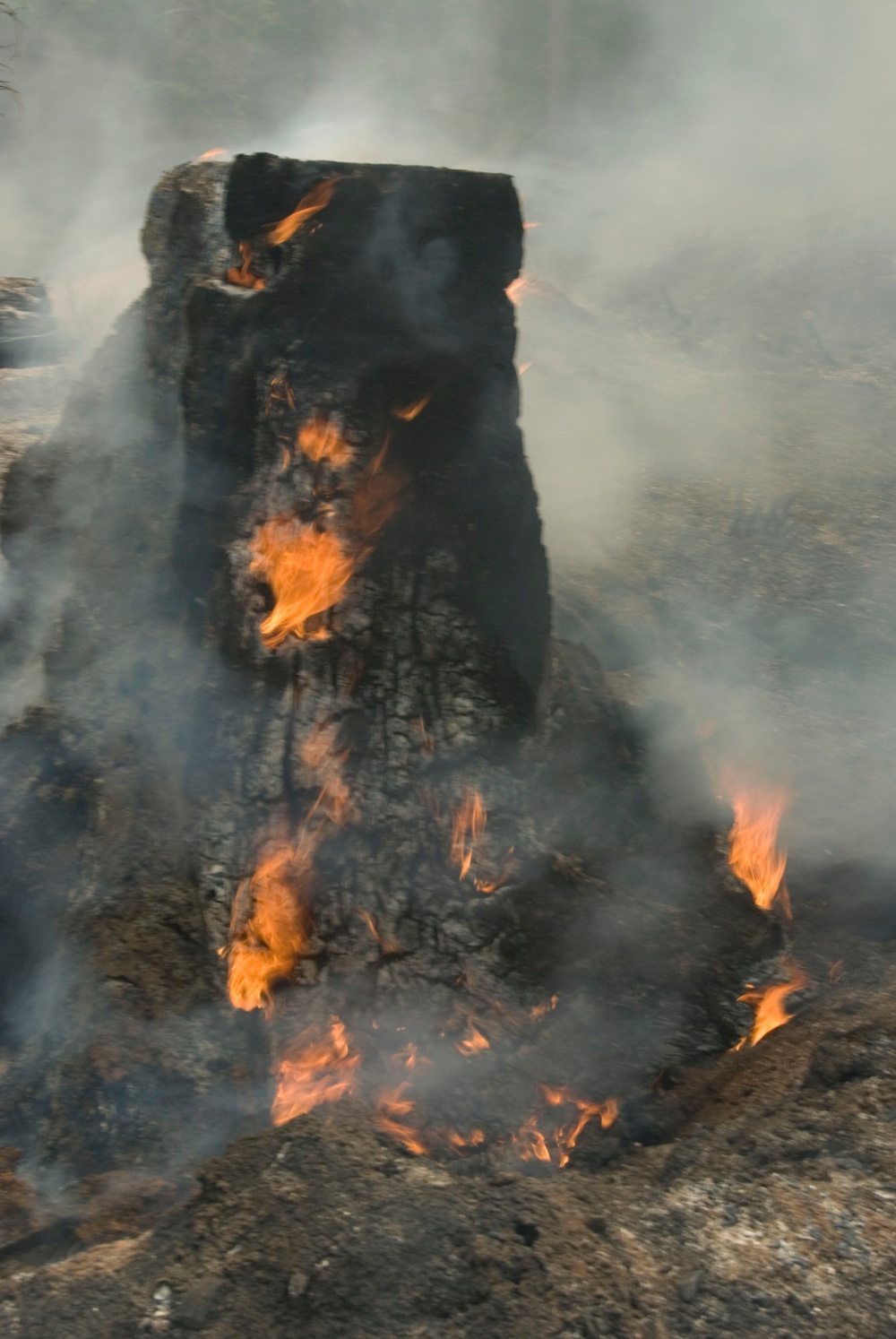 National Guard fights California Wildfire