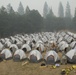 National Guard fights California Wildfires