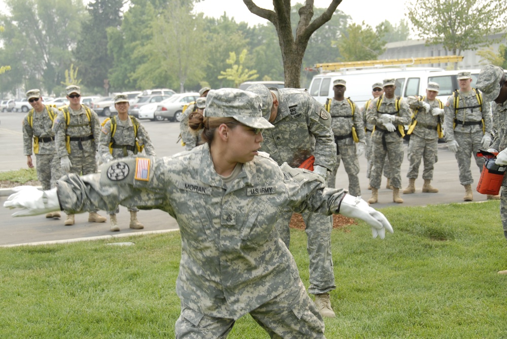 Task Force Pick
Operation Lightning