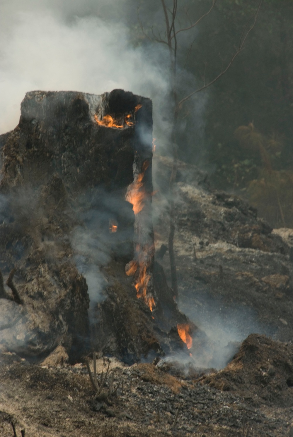 Task Force Pick Operation Lightning