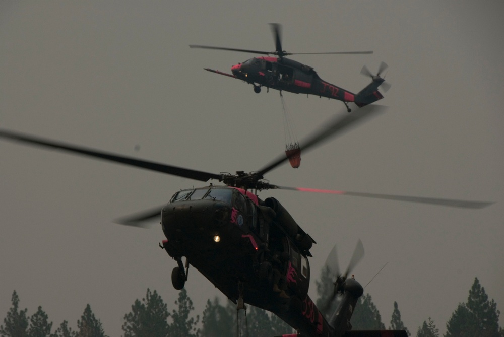 Task Force Pick Operation Lightning