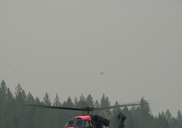 Task Force Pick Operation Lightning