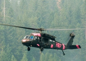 Task Force Pick Operation Lightning