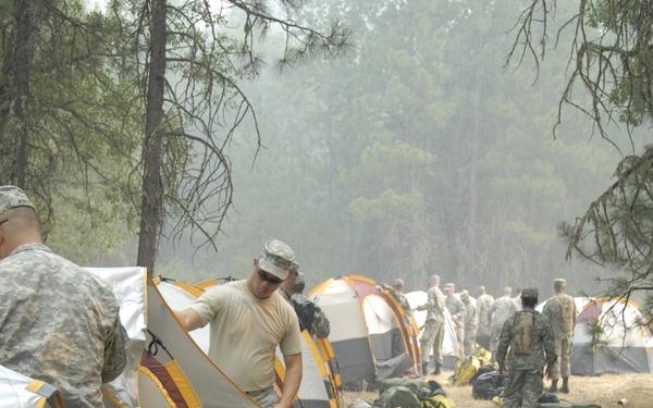 Task Force Pick Operation Lightning