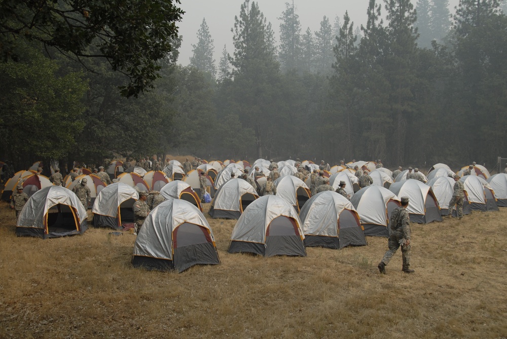 Task Force Pick
Operation Lightning