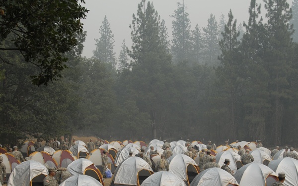 Task Force Pick
Operation Lightning