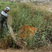 Troops continue mission in northern Ghazaliyah