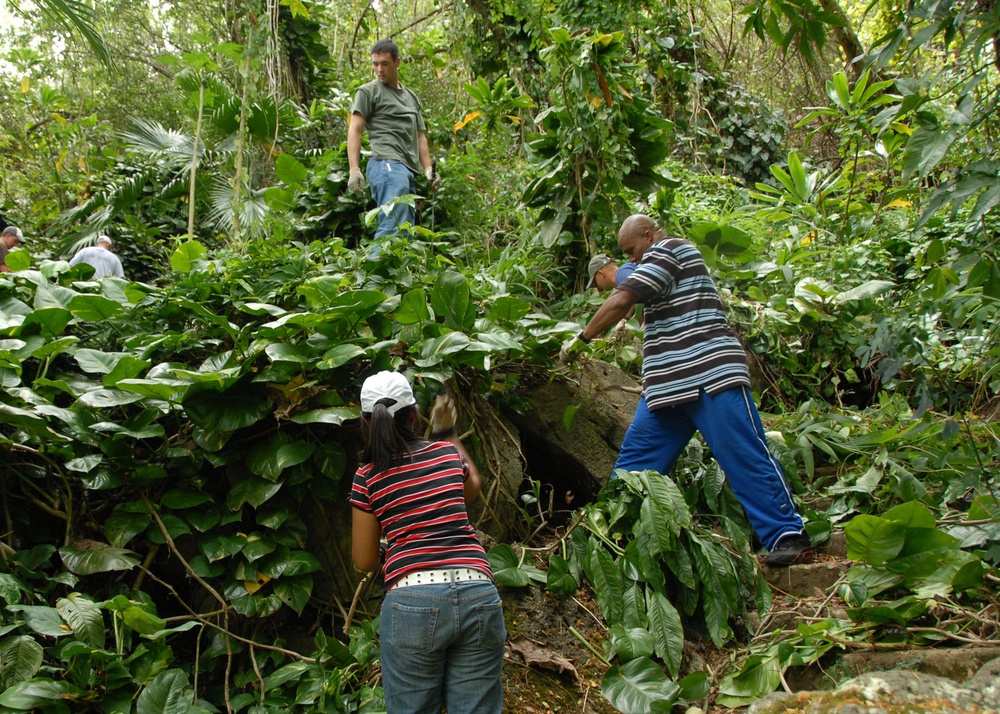 Clearing Out Vines in Hawaii