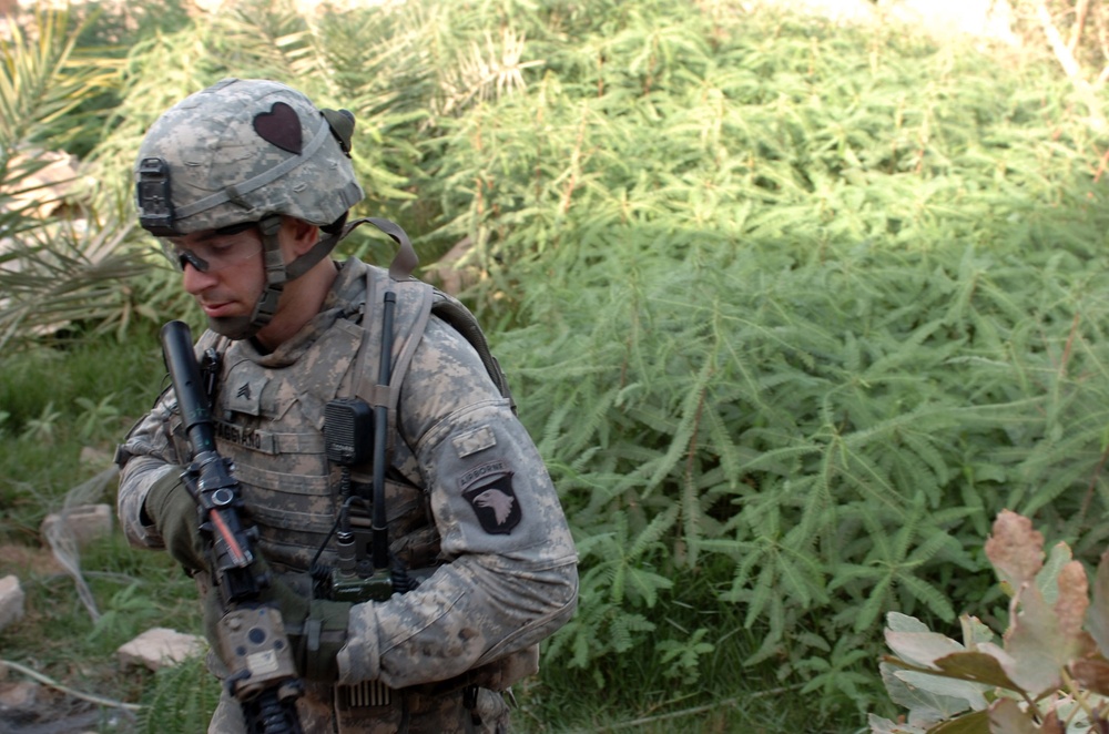 Infantryman rejoins military to lead troops into combat - Soldier's Afghanistan experience leads to successful OIF tour
