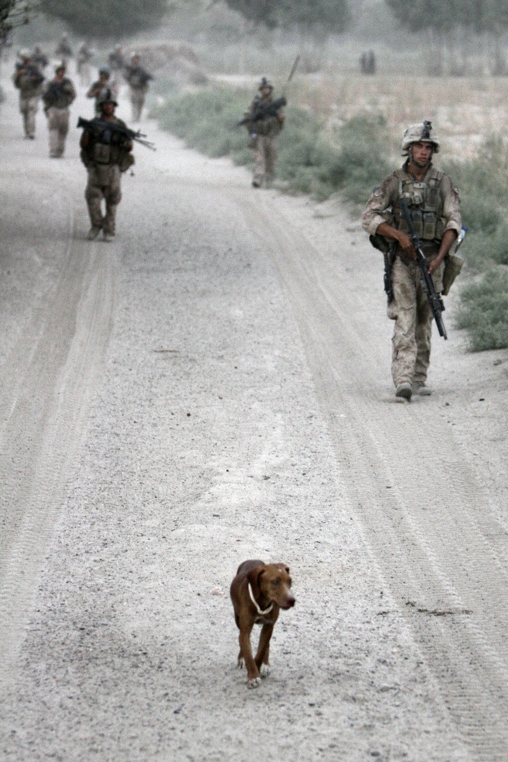 Helmand Province