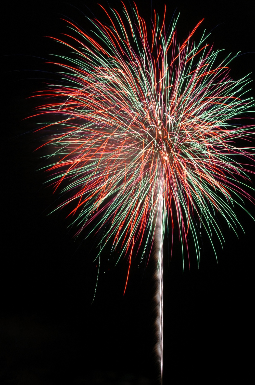 Independence Day Celebration