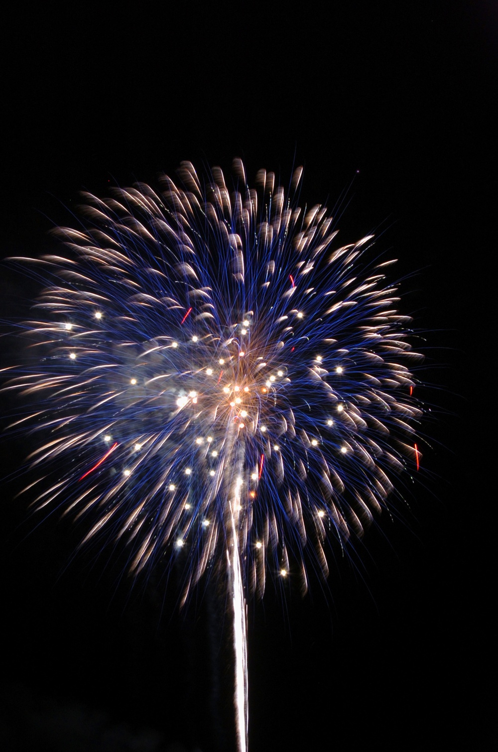 Independence Day Celebration