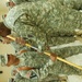 Taking command