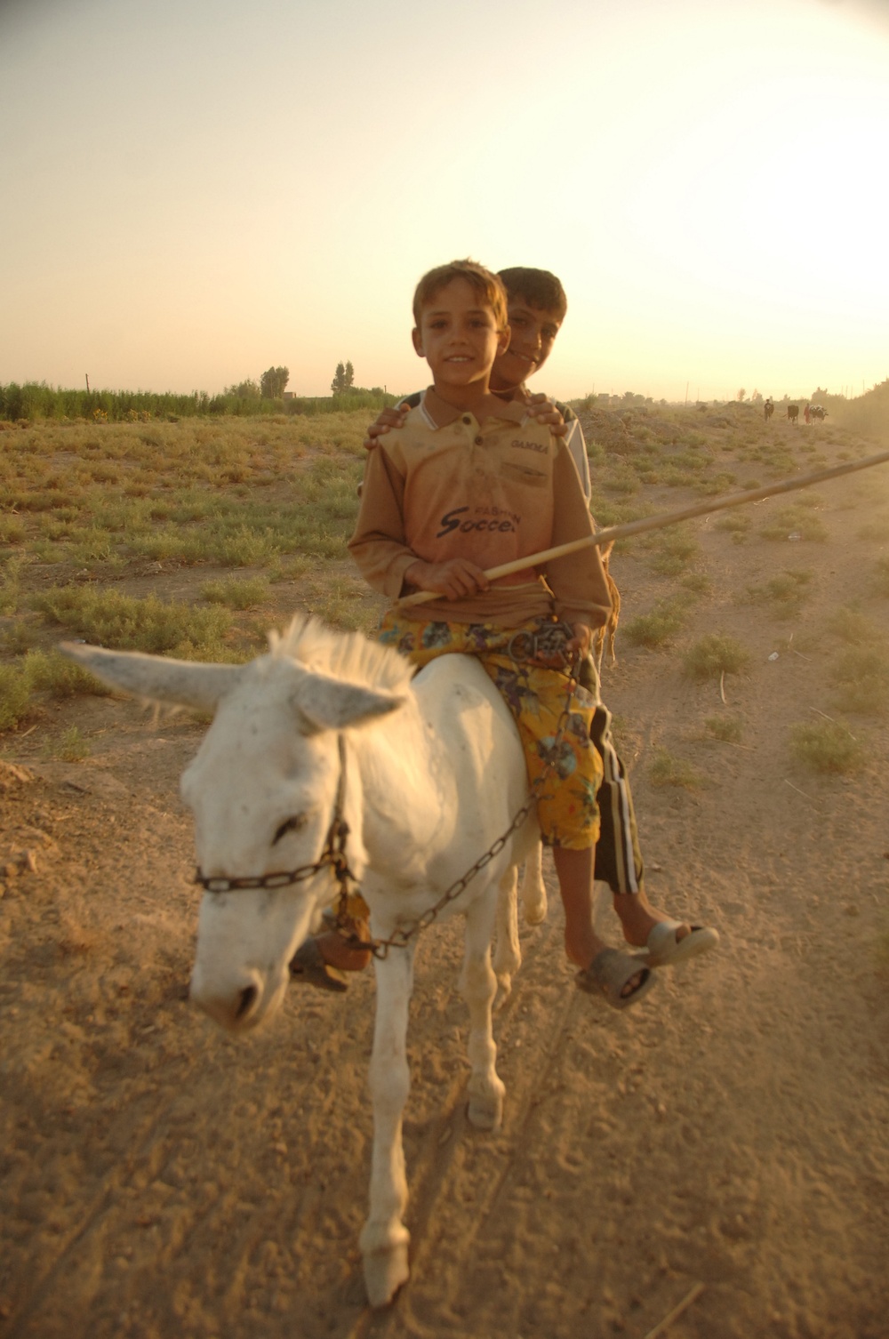 Iraqi Children Pass Roadblock Via Donkey