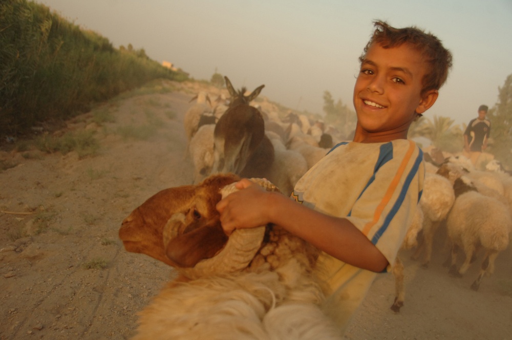 Iraqi Children Pass a Roadblock With Sheep Herd