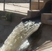 Water levels change for VBC, Radwaniyah - Work continues at Jadriyah pump station