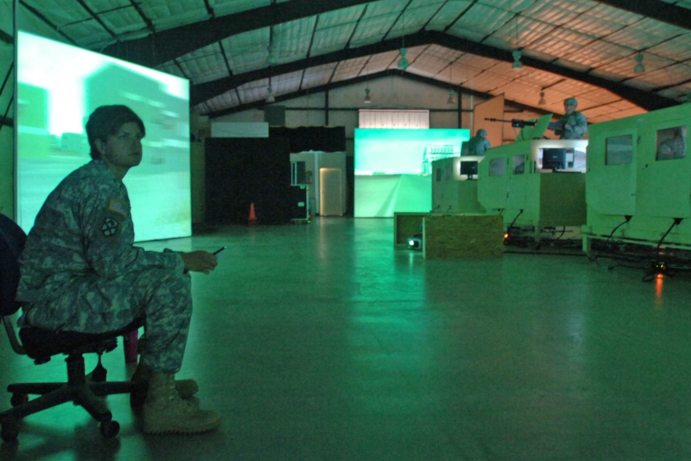 Supporting the Action