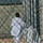 Joint Task Force Guantanamo Detainee Operations