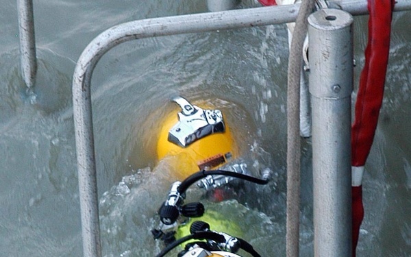 NEA between the U.S. and Indonesia