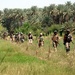 Rakkasans: South Baghdad ready for transition