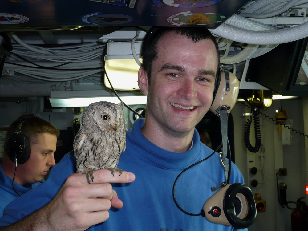 Screech owl found on flight deck