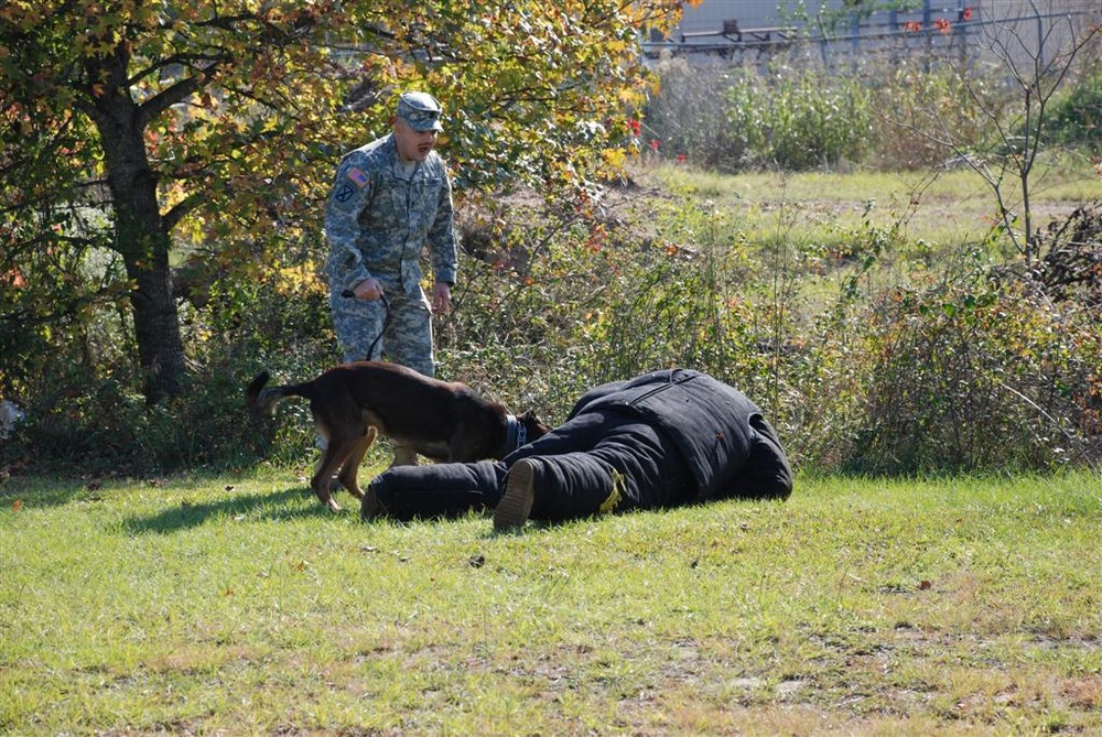 Local deputy sheriff reaches the top in Louisiana National Guard