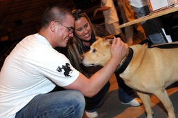 Dingo promotes pet adoption to deployed troops
