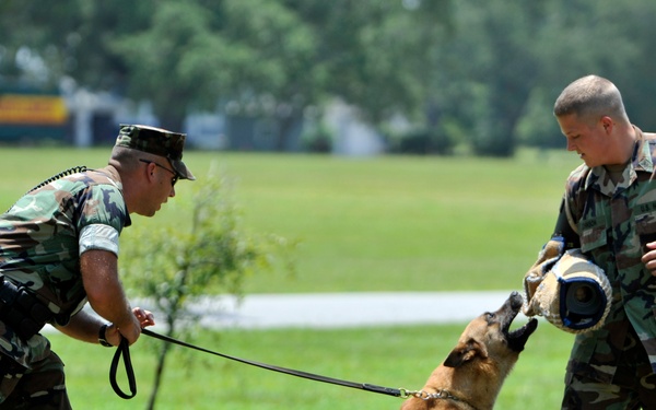 Patrol aggression training