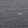 USS Peleliu Thwarts Attack on Gem Of Kilakarai USS Peleliu Thwarts Attack on Gem Of Kilakarai