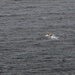 USS Peleliu Thwarts Attack on Gem Of Kilakarai