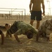 Iraqi Soldiers Conduct Physical Training