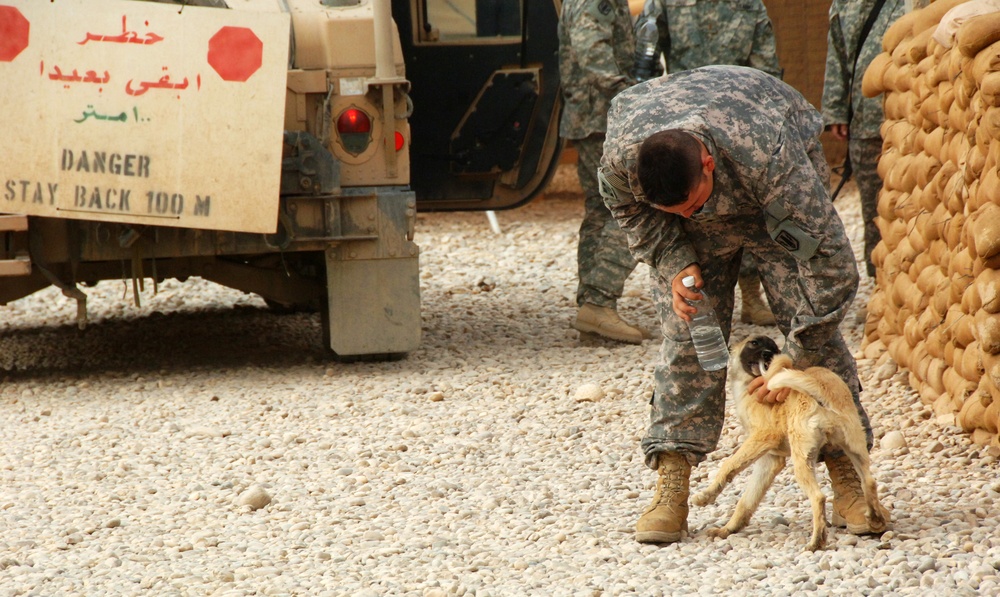 Soldiers at Joint Security Station 2