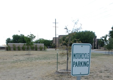 Harley? Nah, This Hog's More Like a Schwinn