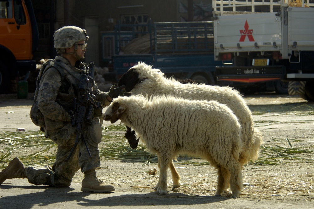 Sadr City Marketplace