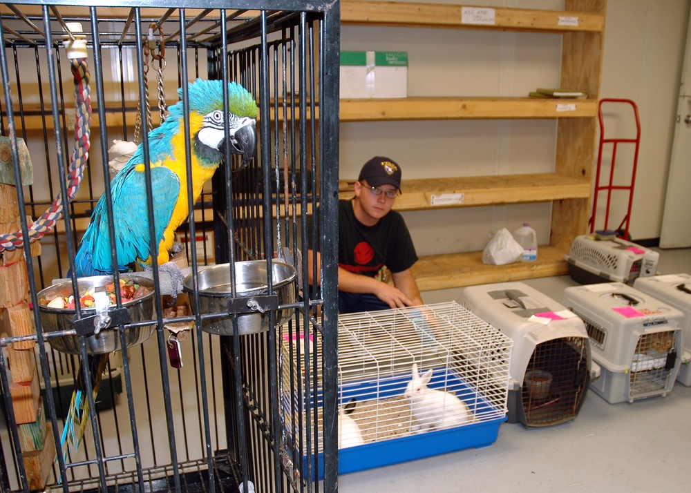 A birds-eye view of pet care